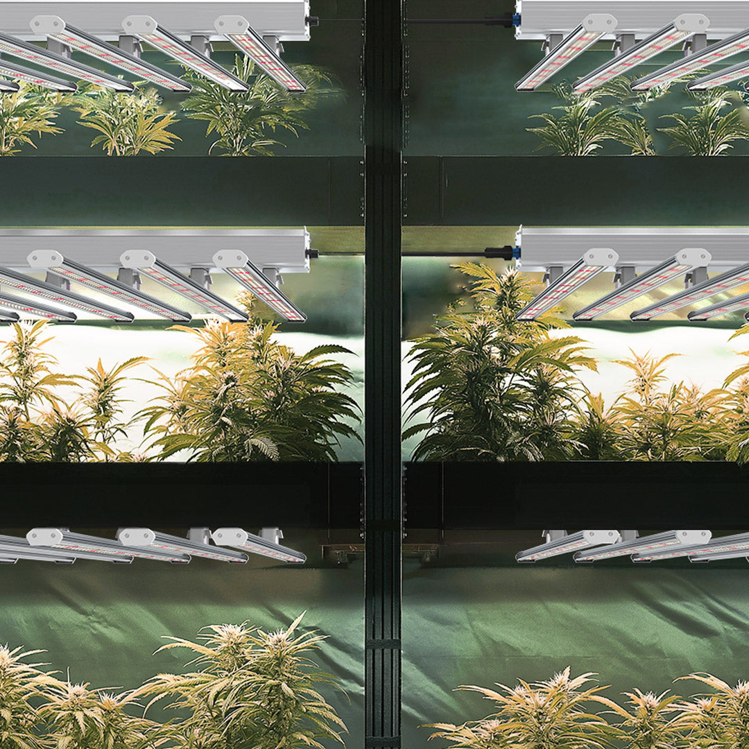 Medic Grow LED