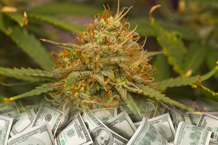 higher profit