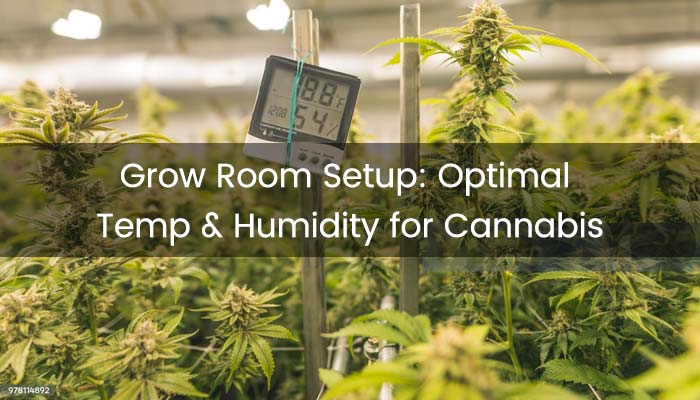 grow room temp and humidity chart