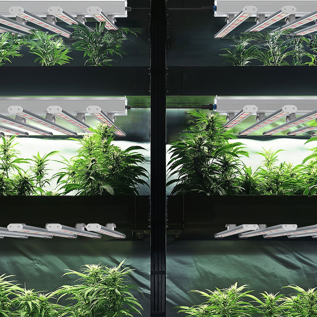 Medic Grow LED