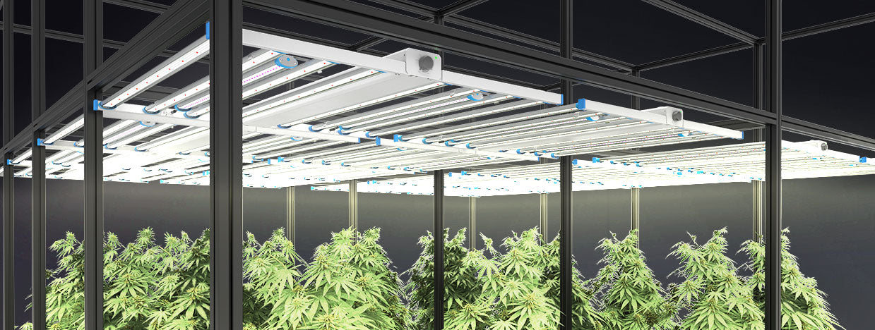 Medic Grow LED